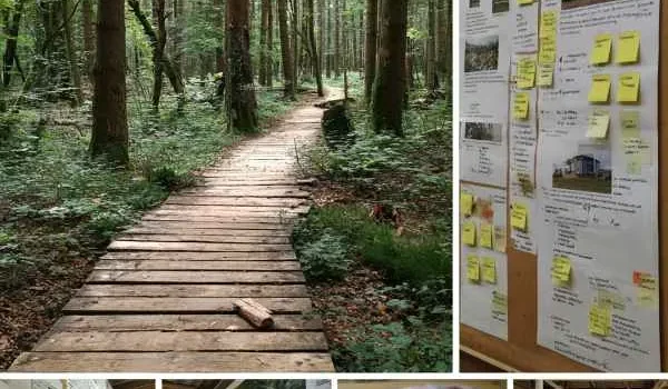 Was ist ein Ideenwald?
